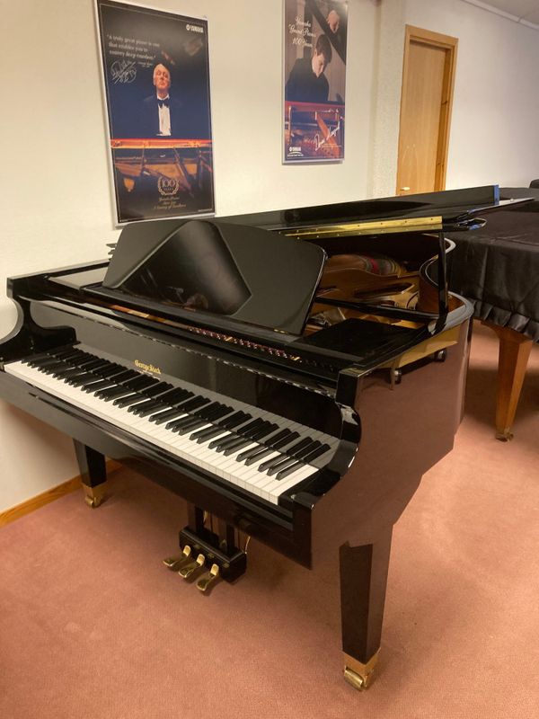 GEORGE STECK GS 187