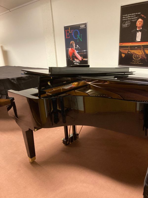 GEORGE STECK GS 187