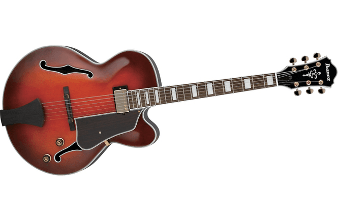 Hovedbilde Ibanez AFJ81
