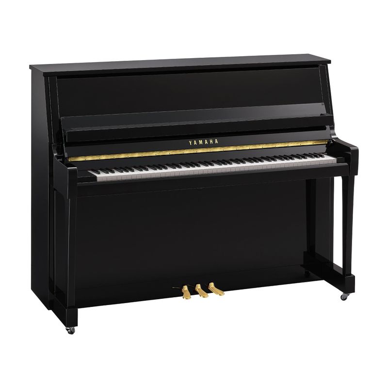 Yamaha B20, sort polert